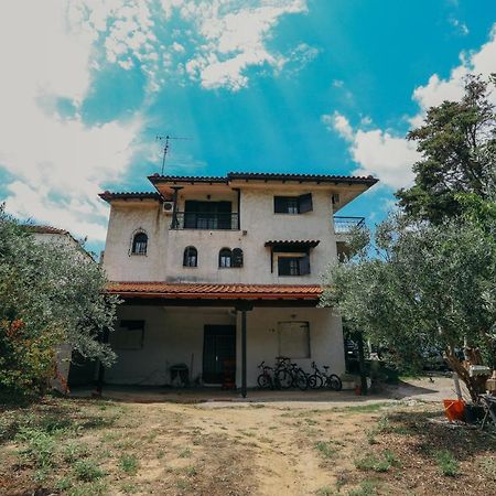 Villa Kalma تريلوفون المظهر الخارجي الصورة